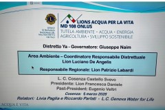 Pubblicazione2