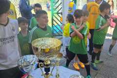 a8a5cc71-12c8-4f02-959d-fde4c7873174