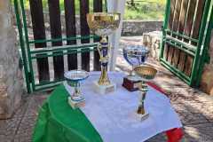 fdc1b4ba-a06d-4bcc-9e32-a7a9635cd4c2