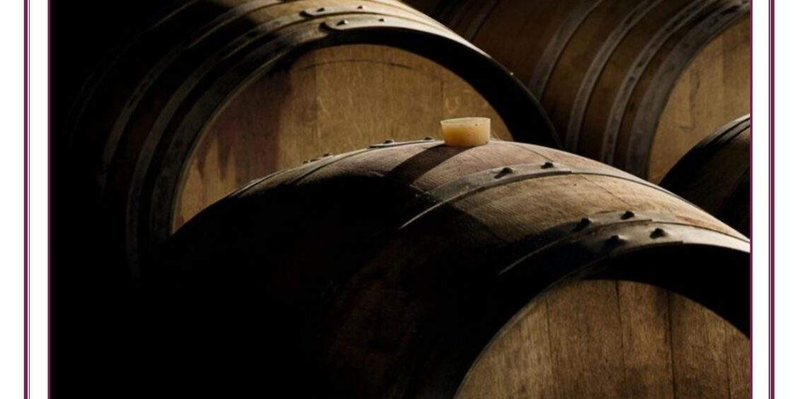 WhatsApp Image 2023-11-21 at 23.37.19