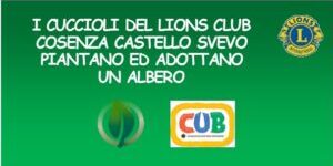 ICONA-ASSEMBLEA-1-300×153