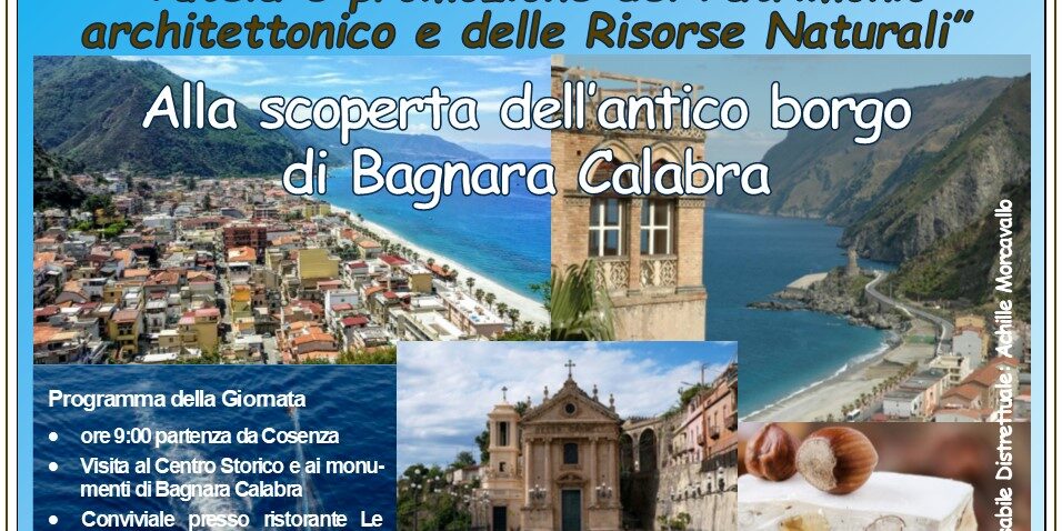 ea3cc179-004c-4ae2-8d33-f3c2ee8f758c